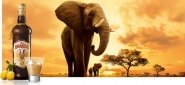 Likier Amarula Cream 0,7L